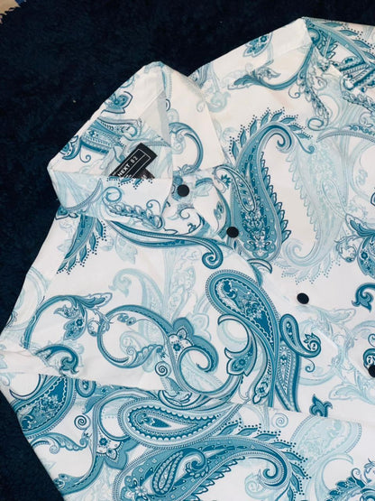 Mens Ordinary Shirt
